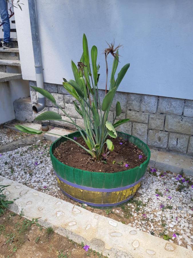 Apartman Vede Bacina Εξωτερικό φωτογραφία