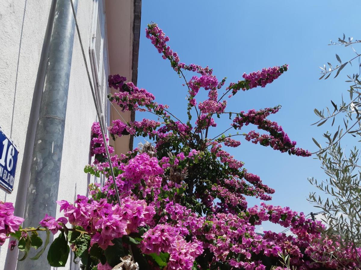 Apartman Vede Bacina Εξωτερικό φωτογραφία