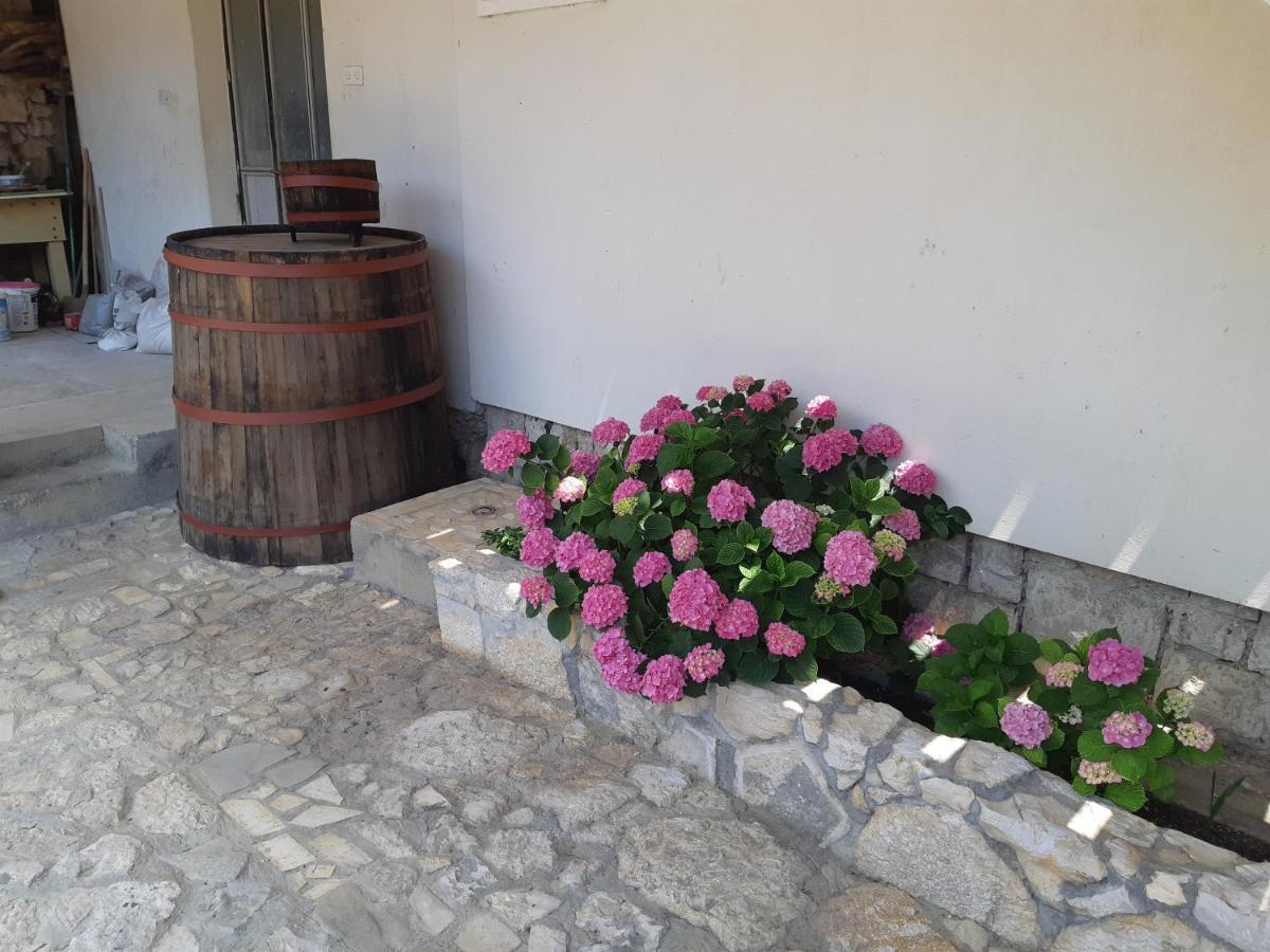 Apartman Vede Bacina Εξωτερικό φωτογραφία