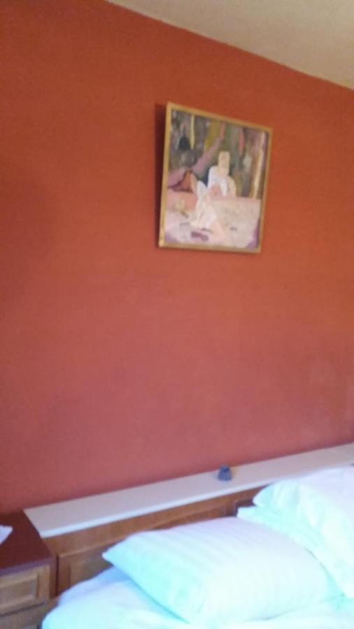 Apartman Vede Bacina Εξωτερικό φωτογραφία